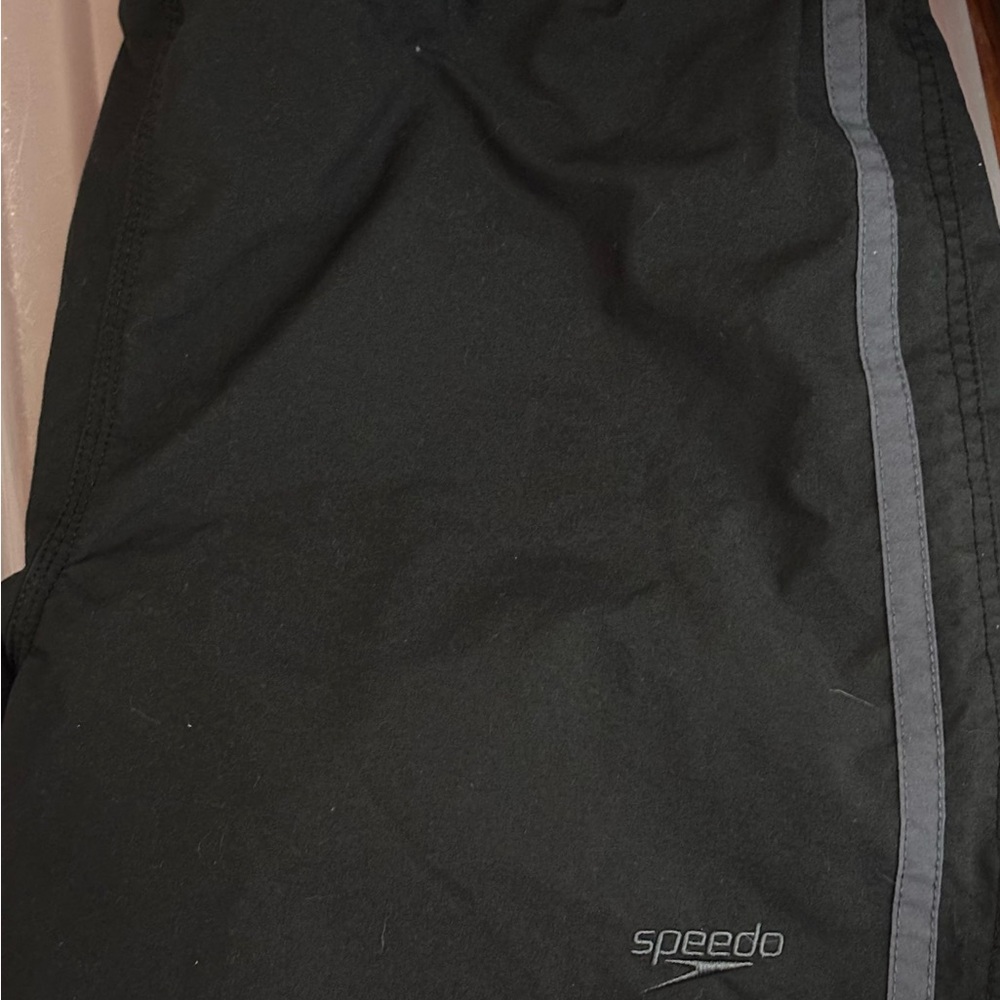 Speedo Black Swim Trunks with Gray Stripe